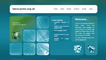 2009 Website