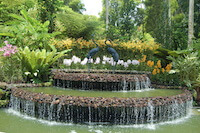 Crane Fountain