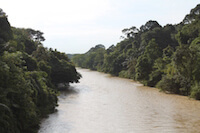 Flooded River