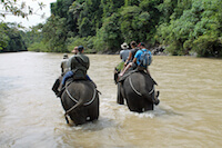Elephant Ride
