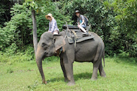 Sitting on the Elephant