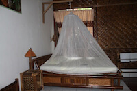 Ecolodge in Bukit Lawang