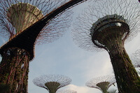 Supertrees